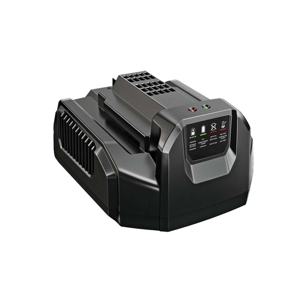 56 Volt Battery Charger by EGO POWER